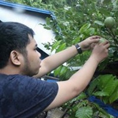 Yundhi P. Putra Putra