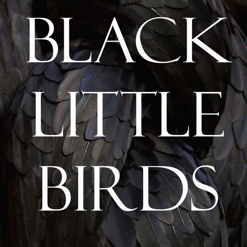 Black Little Birds’s avatar