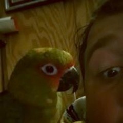 Rodrigo Navarrete Jr.