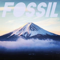 Fossil