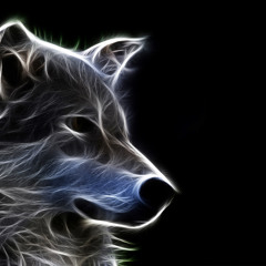 Let's make a playlist 2.0