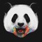 The Panda