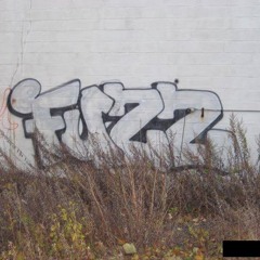 Fuzz One