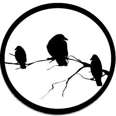 A Conspiracy Of Ravens