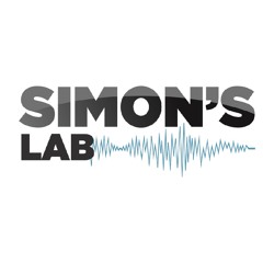 Armin van Buuren - Intense feat. Miri Ben-ari - (Simon's Lab Cover)