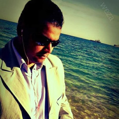 Ahmed Boraie