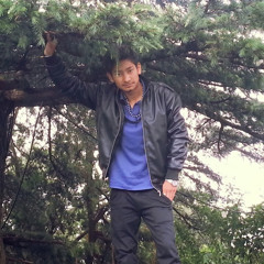 Roshan Elangbam