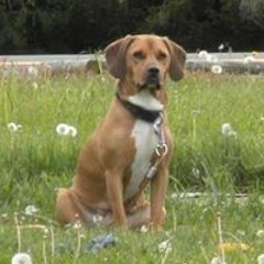 ShanandJeff Glassman