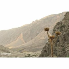 margauxberthemargaux