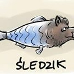 Śledzik Prima Sort