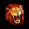 M.Lion