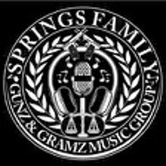 SpringsFamily