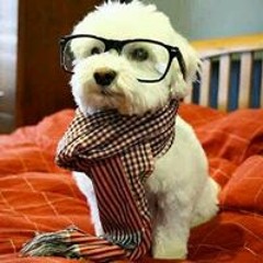 Johnson Olakunle Durodola