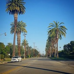 cameronchauvincameron