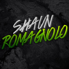 Shaun Romagnolo