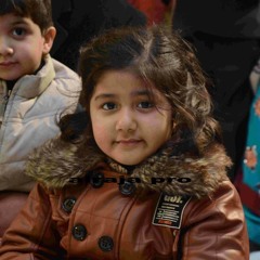 Khawaja M Ali