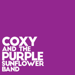 Coxy PurpleSunflower band