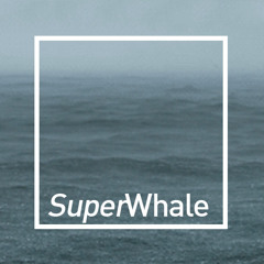 SuperWhale