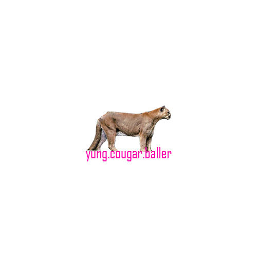 yung.cougar.baller’s avatar