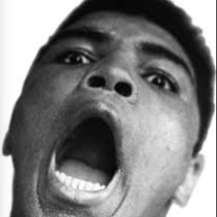 Jay Schro Beats - C R E A T E DAILY.