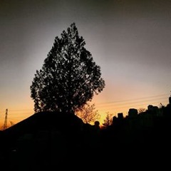 myrthevangelderenmyrthe