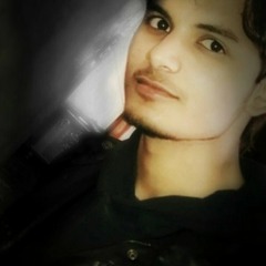 Muhammad Hamza Sajid