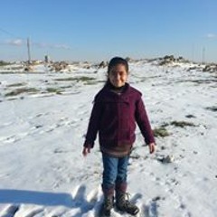 Sesehorini Sesehorini