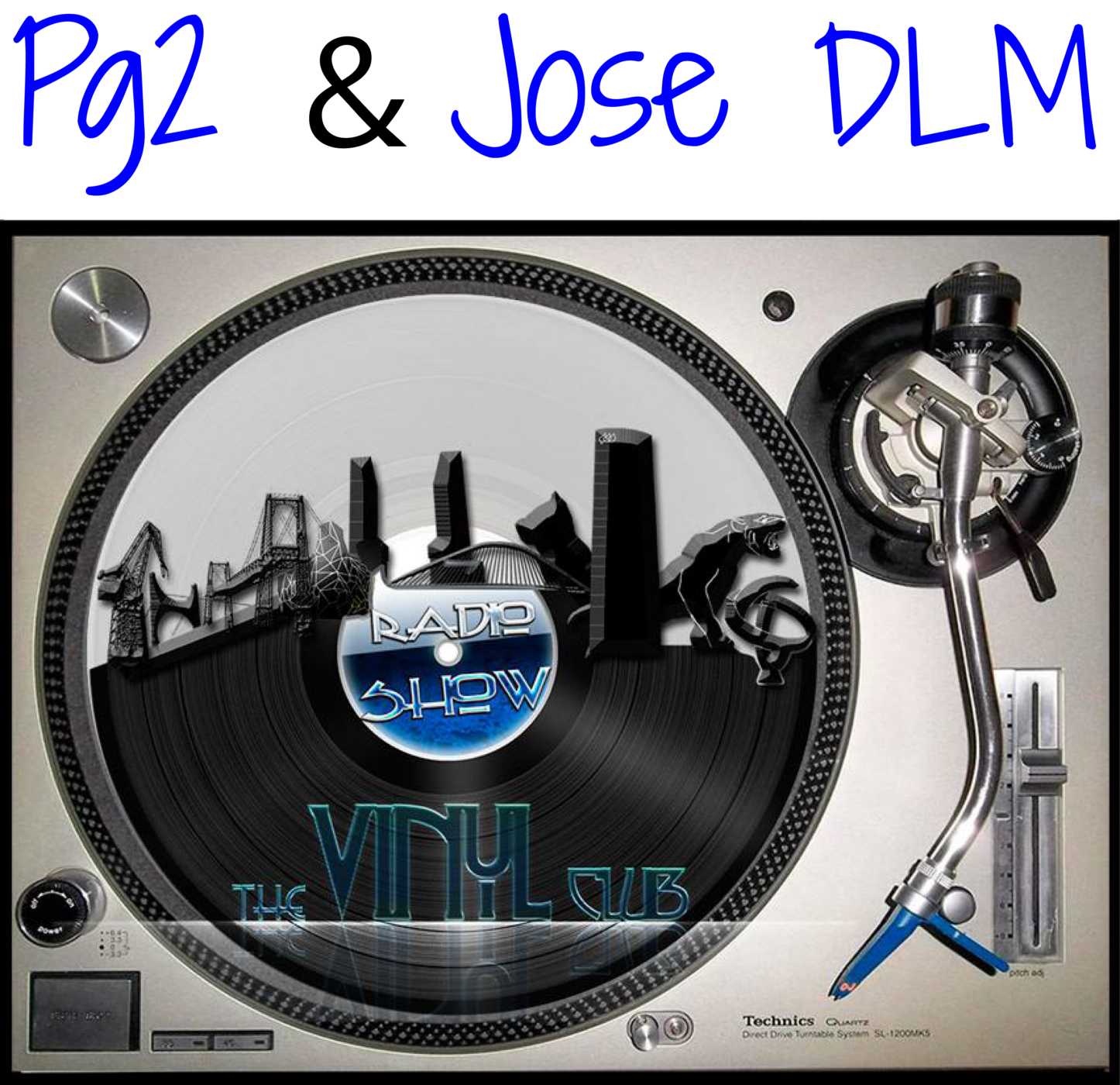 THE VINYL CLUB