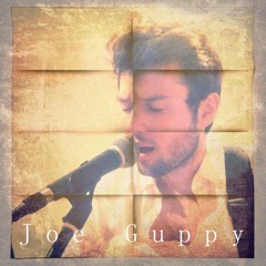 Joe Guppy
