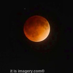 aaronvanwijngaarden70