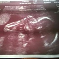 Stacy Elizabeth Wyke