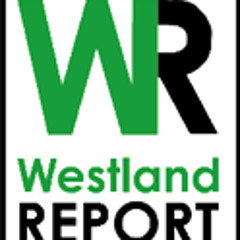 WestlandReport