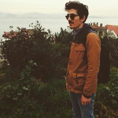 birdenizahmet