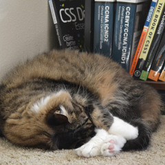 Christopher Loverich