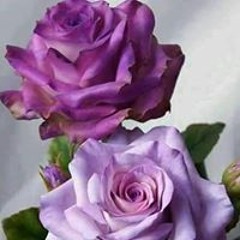 Ansaam Ahmad