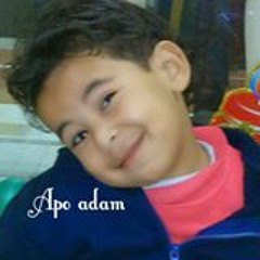 Apo Adam