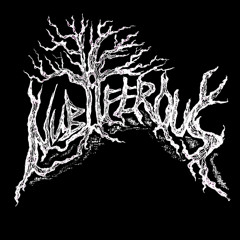NUBIFEROUS''Old Forest Cult - Rise Of Shadethicket Beast ''