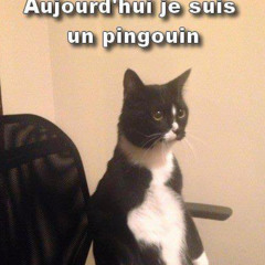 Nils 1er