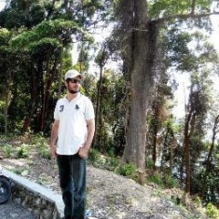 Hassan Mahmoud