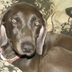 Amanda Ruggles Jones