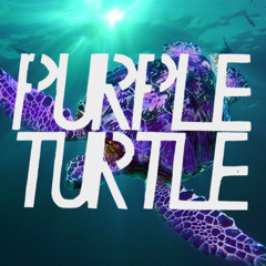 Purple Turtle Music