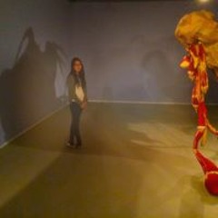 MiSun van der Mannen