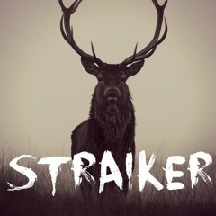 Straiker