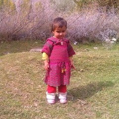 Mohsin Shadab