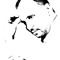 Hamed alaswad