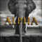 Alpha Music (α♫)