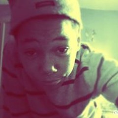 Fly