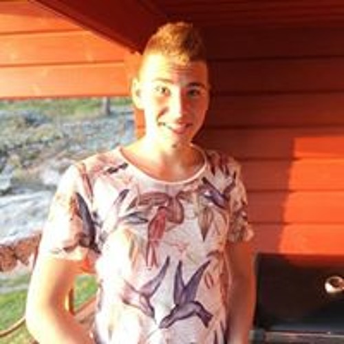 Stream Rein van Houwelingen music Listen to songs, albums, playlists