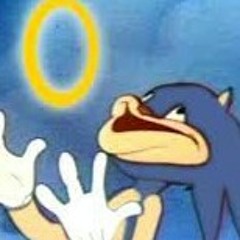 sanichero