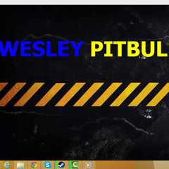 WESLEY PITBULL